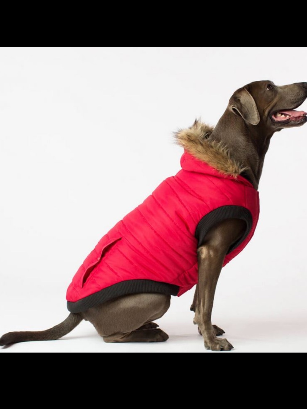 NWT Canada Pooch North Pole Red Dog Parka 20